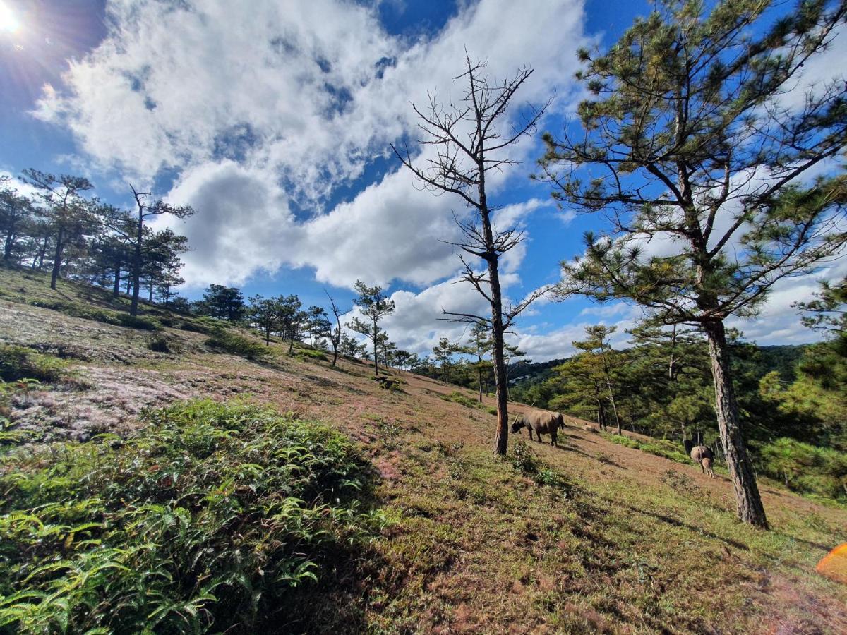 Mon Bac Home Da Lat Exterior foto